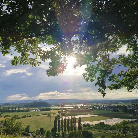 Hotel Suggenbad 3*