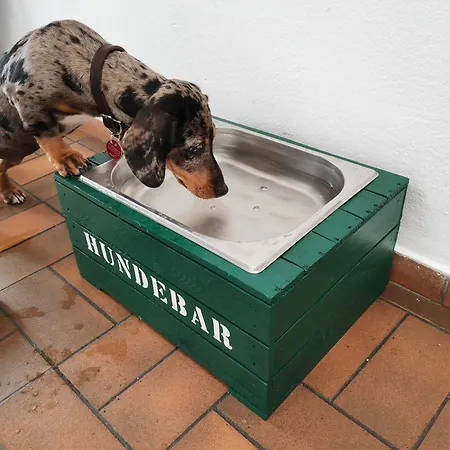 Ξενοδοχείο Suggenbad 3*