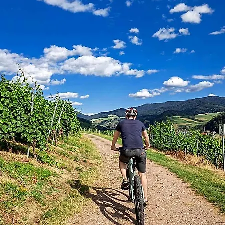 Suggenbad Waldkirch