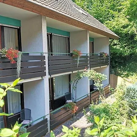 Hotel Suggenbad 3*