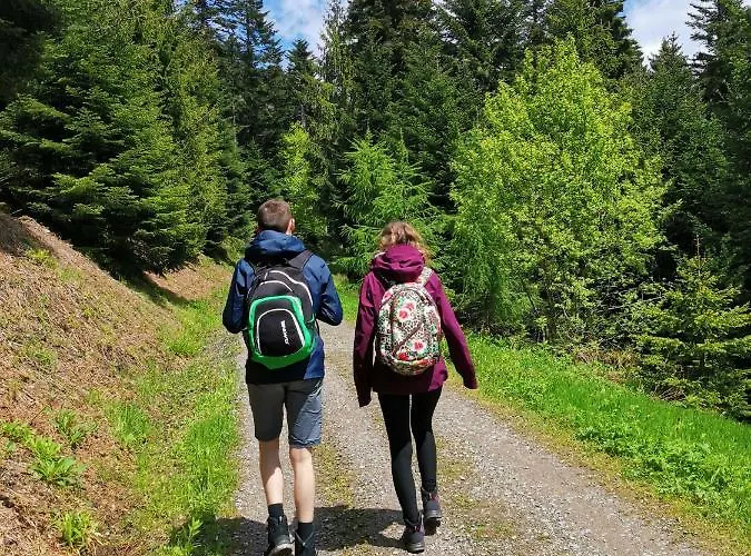 Suggenbad 3* Waldkirch