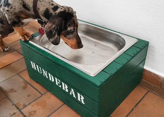 ホテル Suggenbad 3*